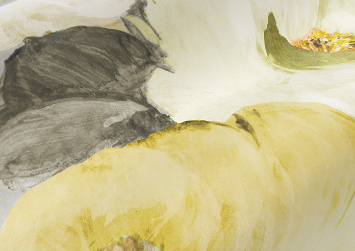 Rosa, Mirage - Roman Blind - Image 4